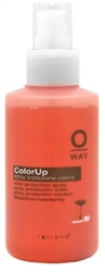 ColorUp Protection Spray